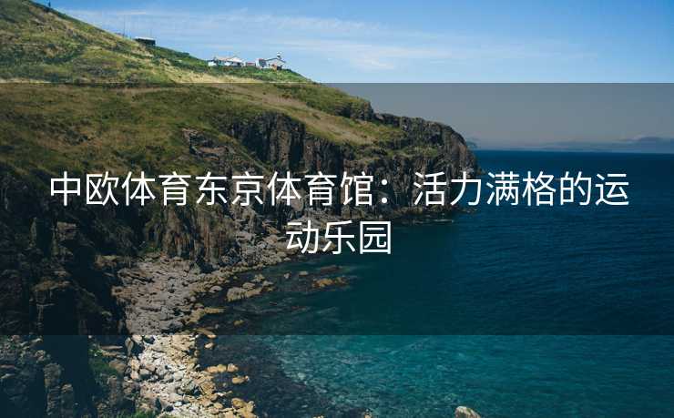 中欧体育东京体育馆：活力满格的运动乐园