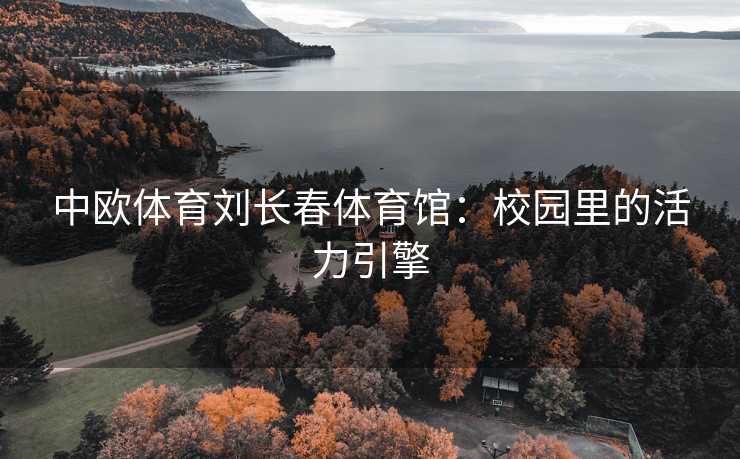 中欧体育刘长春体育馆：校园里的活力引擎