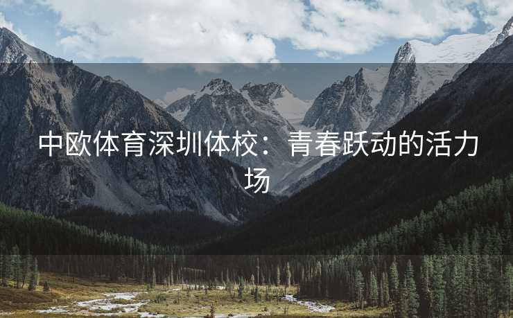 中欧体育深圳体校：青春跃动的活力场