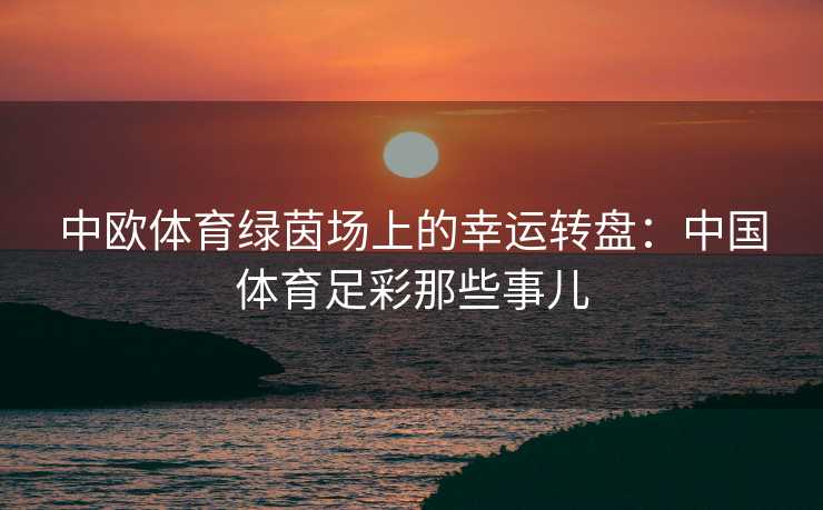 中欧体育绿茵场上的幸运转盘：中国体育足彩那些事儿