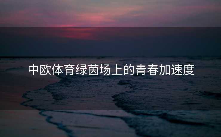 中欧体育绿茵场上的青春加速度