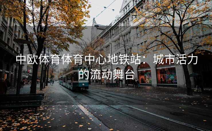 中欧体育体育中心地铁站：城市活力的流动舞台