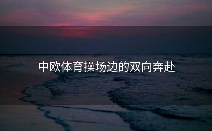 中欧体育操场边的双向奔赴