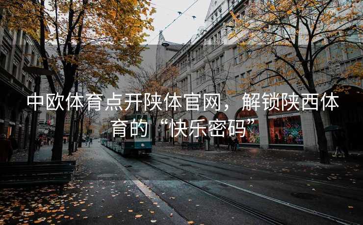 中欧体育点开陕体官网，解锁陕西体育的“快乐密码”
