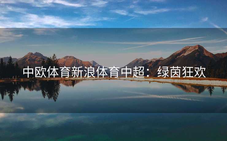 中欧体育新浪体育中超：绿茵狂欢