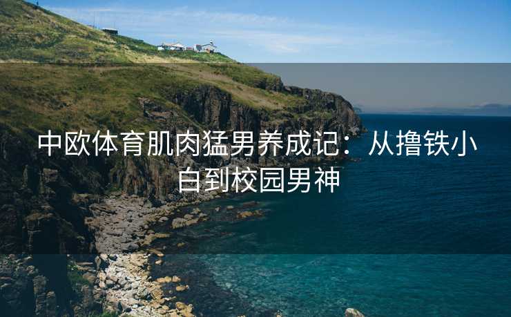 中欧体育肌肉猛男养成记：从撸铁小白到校园男神