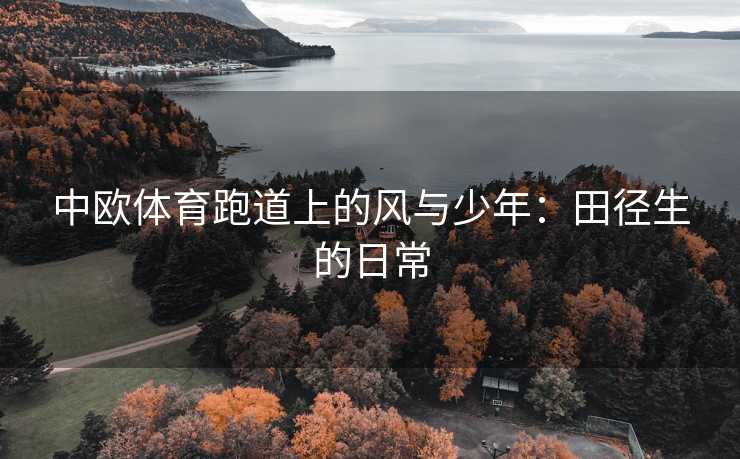 中欧体育跑道上的风与少年：田径生的日常