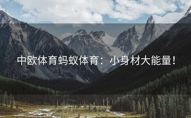 中欧体育蚂蚁体育：小身材大能量！