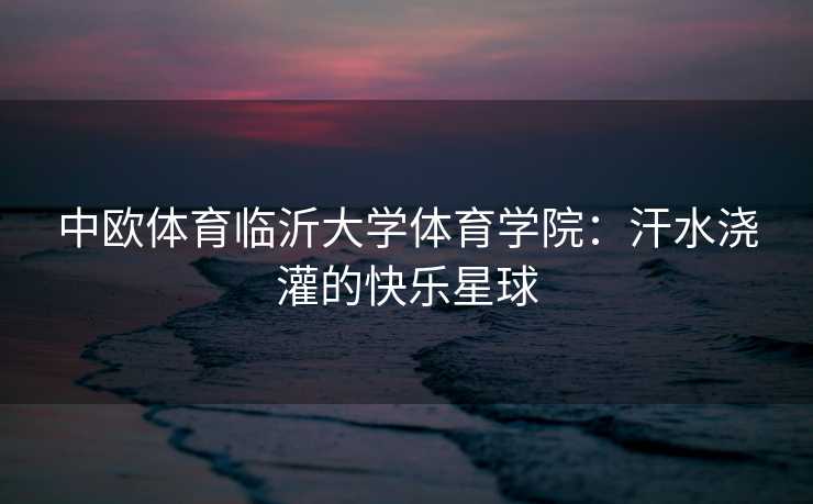 中欧体育临沂大学体育学院：汗水浇灌的快乐星球