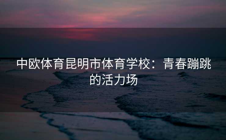 中欧体育昆明市体育学校：青春蹦跳的活力场