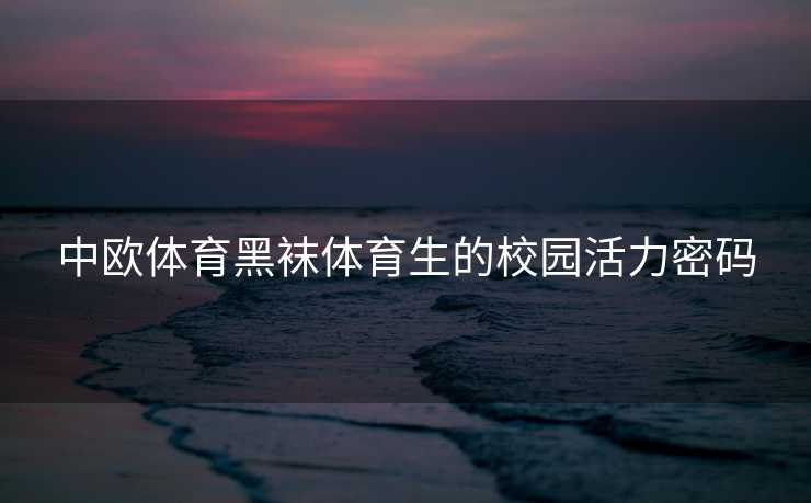 中欧体育黑袜体育生的校园活力密码
