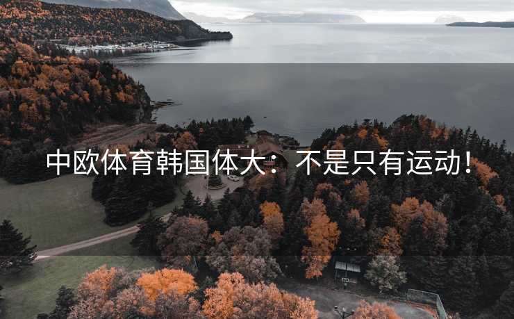 中欧体育韩国体大：不是只有运动！