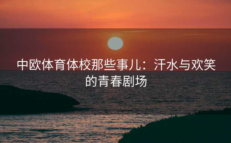 中欧体育体校那些事儿：汗水与欢笑的青春剧场