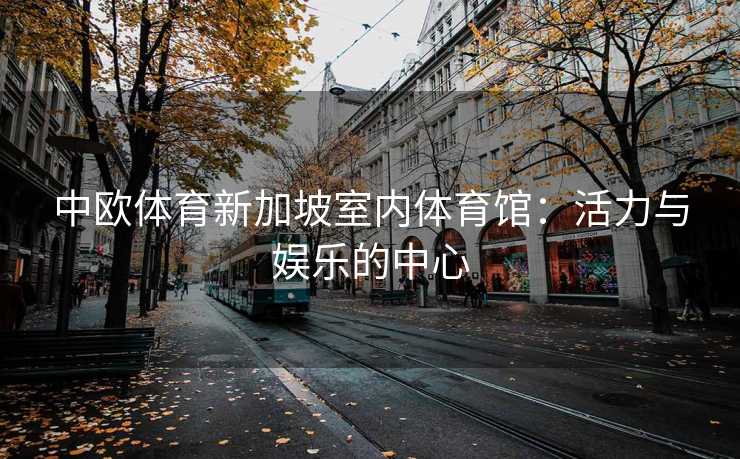 中欧体育新加坡室内体育馆：活力与娱乐的中心