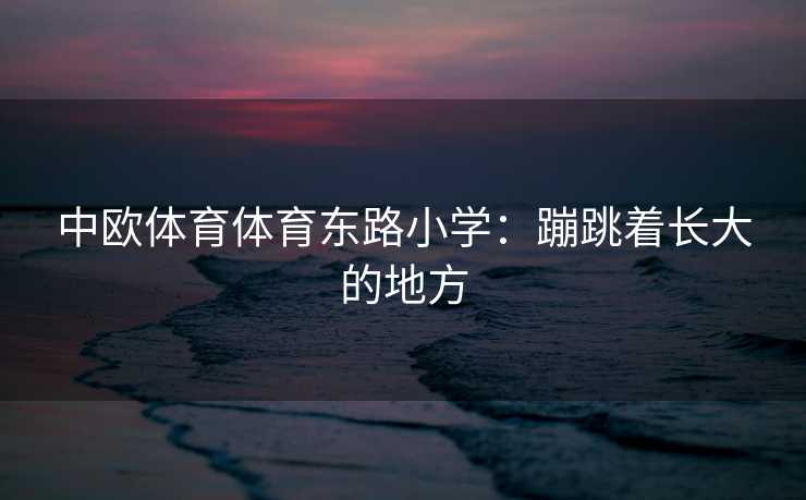 中欧体育体育东路小学：蹦跳着长大的地方