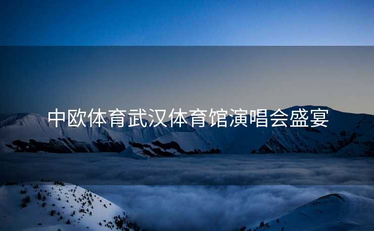 中欧体育武汉体育馆演唱会盛宴