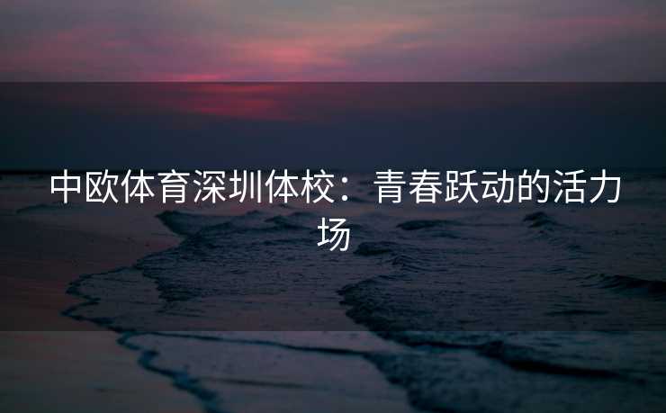 中欧体育深圳体校：青春跃动的活力场