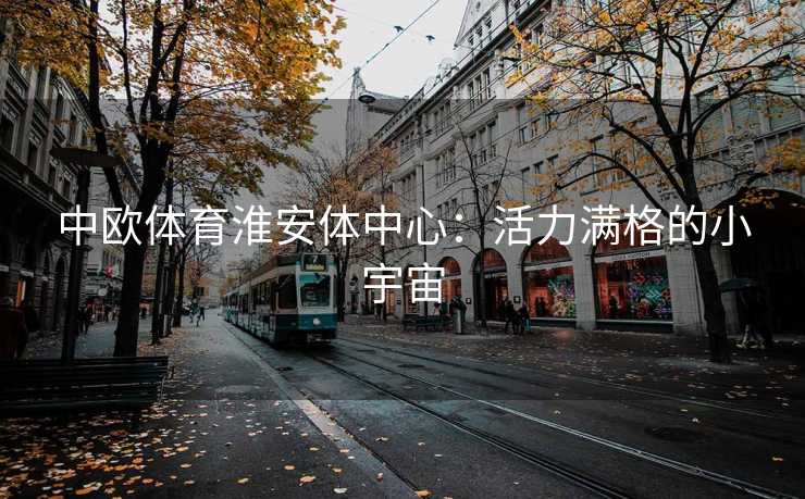 中欧体育淮安体中心：活力满格的小宇宙