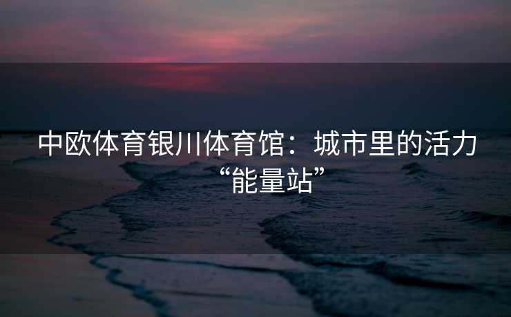 中欧体育银川体育馆：城市里的活力“能量站”
