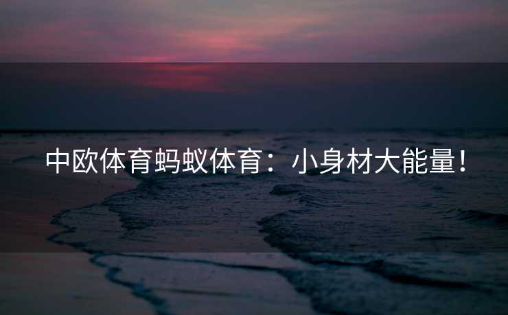 中欧体育蚂蚁体育：小身材大能量！