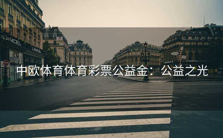 中欧体育体育彩票公益金：公益之光