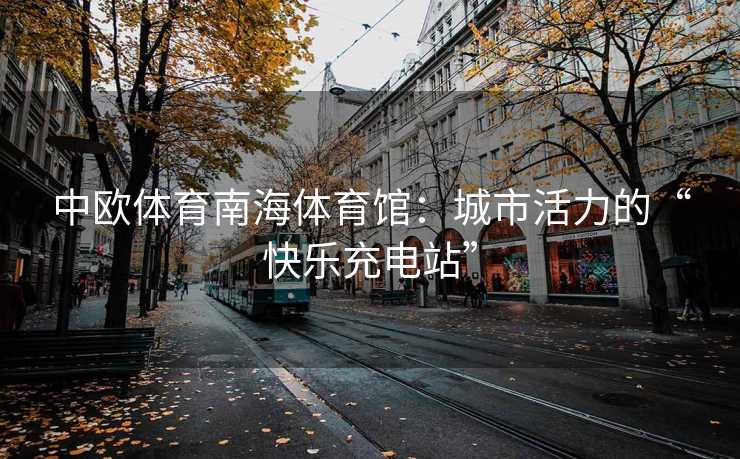 中欧体育南海体育馆：城市活力的“快乐充电站”