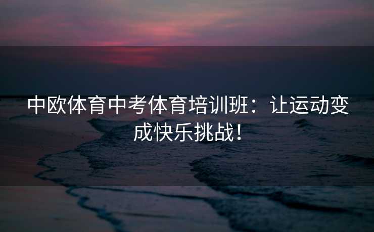 中欧体育中考体育培训班：让运动变成快乐挑战！