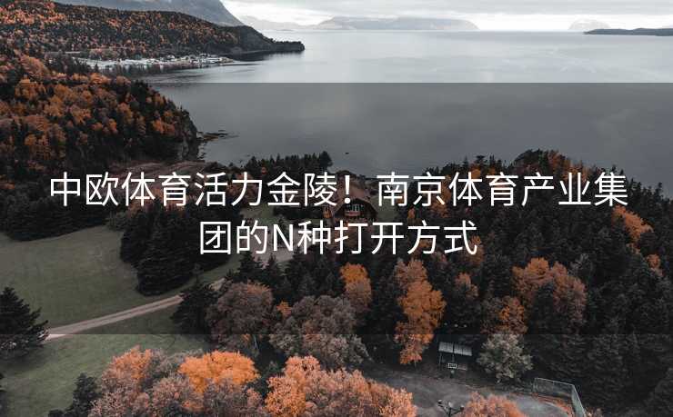 中欧体育活力金陵！南京体育产业集团的N种打开方式