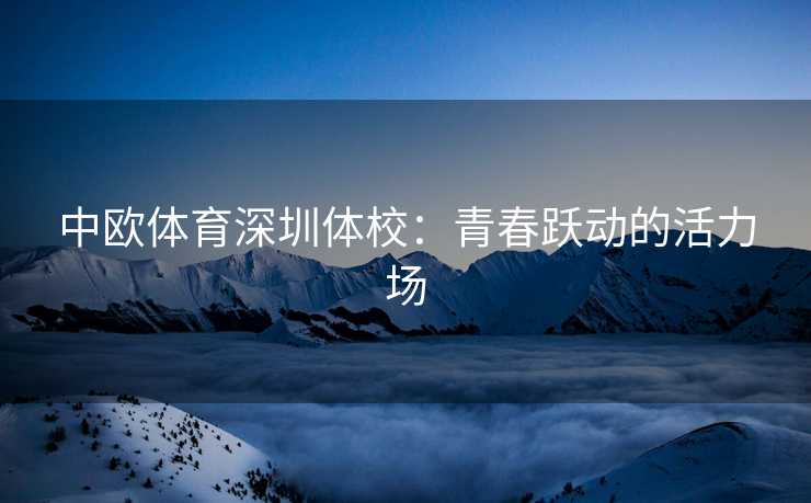 中欧体育深圳体校：青春跃动的活力场