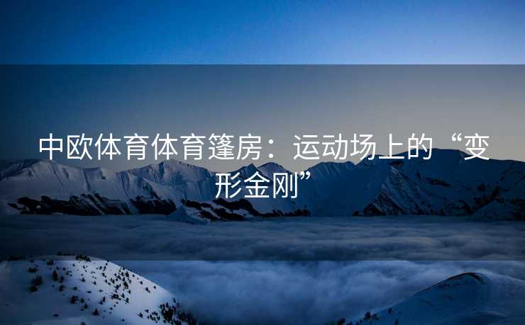 中欧体育体育篷房：运动场上的“变形金刚”