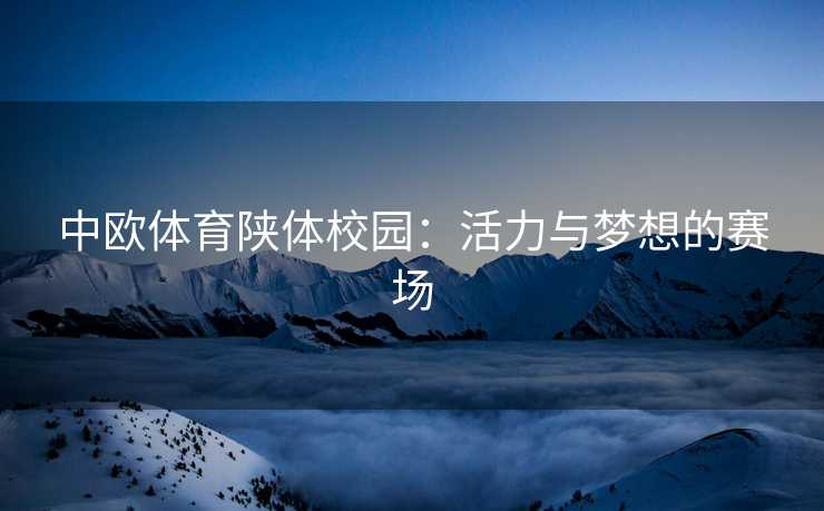 中欧体育陕体校园：活力与梦想的赛场