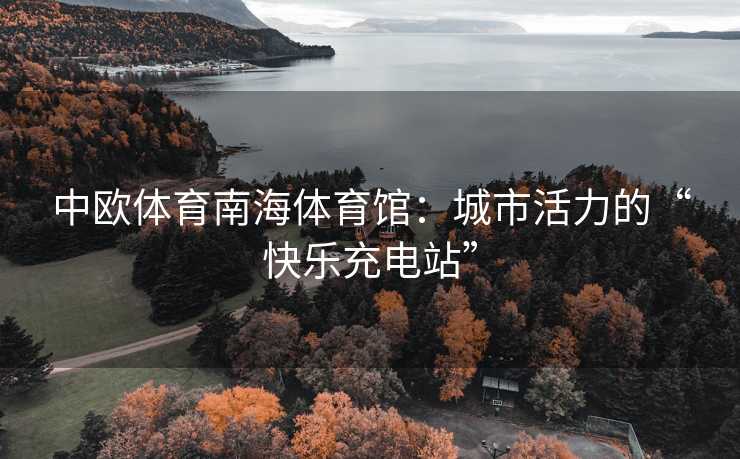 中欧体育南海体育馆：城市活力的“快乐充电站”