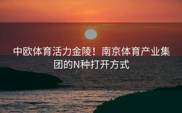 中欧体育活力金陵！南京体育产业集团的N种打开方式