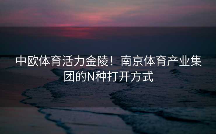 中欧体育活力金陵！南京体育产业集团的N种打开方式
