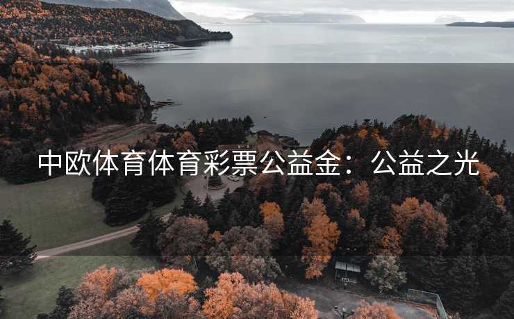 中欧体育体育彩票公益金：公益之光