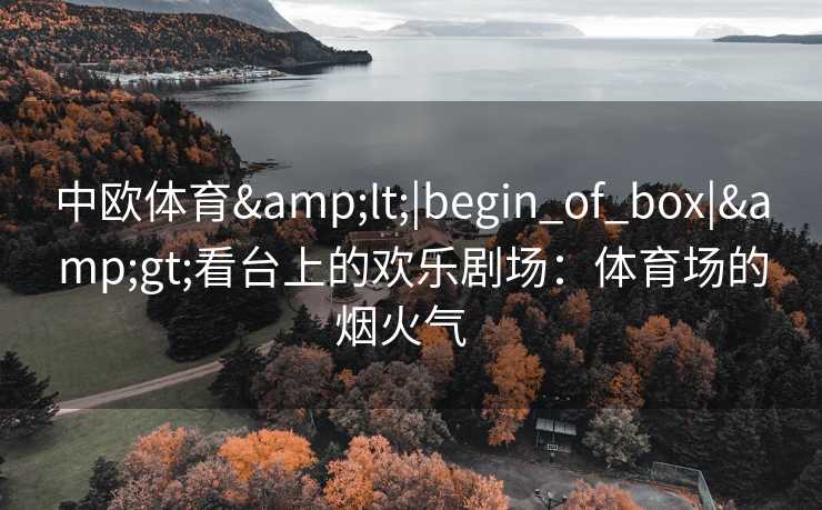 中欧体育&lt;|begin_of_box|&gt;看台上的欢乐剧场：体育场的烟火气  
