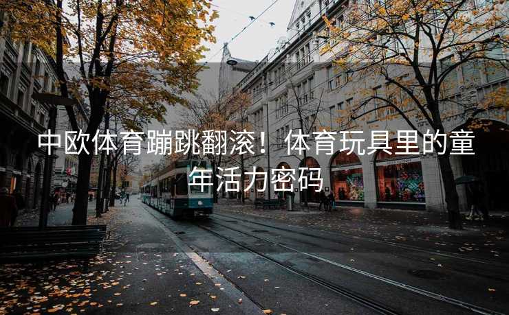中欧体育蹦跳翻滚！体育玩具里的童年活力密码