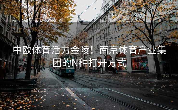 中欧体育活力金陵！南京体育产业集团的N种打开方式