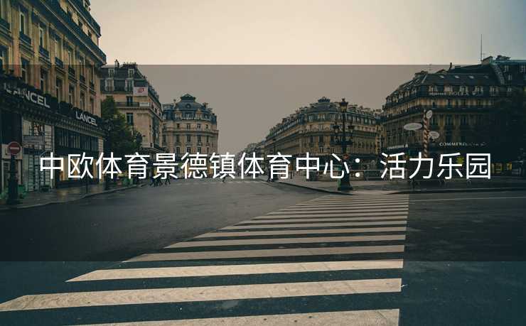 中欧体育景德镇体育中心：活力乐园