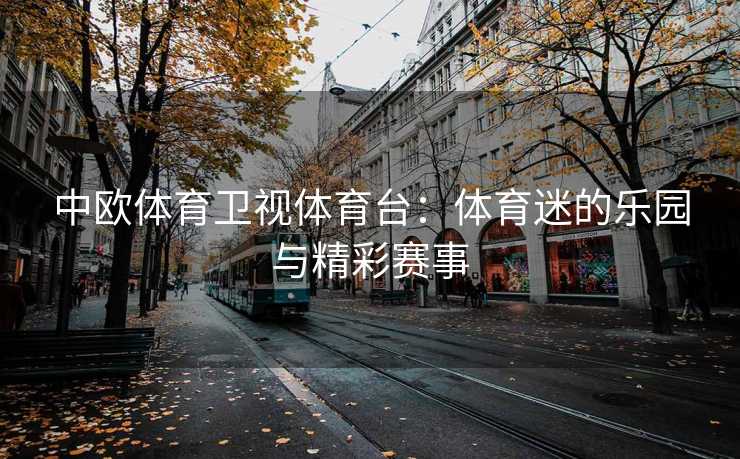 中欧体育卫视体育台：体育迷的乐园与精彩赛事