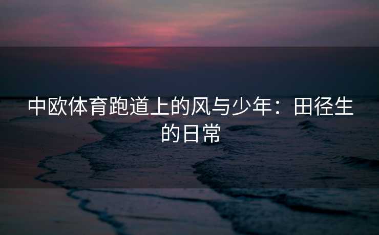 中欧体育跑道上的风与少年：田径生的日常