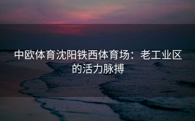 中欧体育沈阳铁西体育场：老工业区的活力脉搏