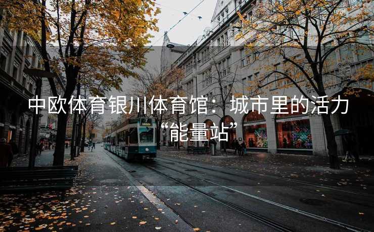 中欧体育银川体育馆：城市里的活力“能量站”