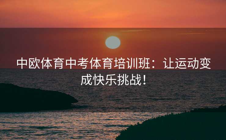 中欧体育中考体育培训班：让运动变成快乐挑战！