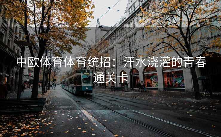 中欧体育体育统招：汗水浇灌的青春通关卡