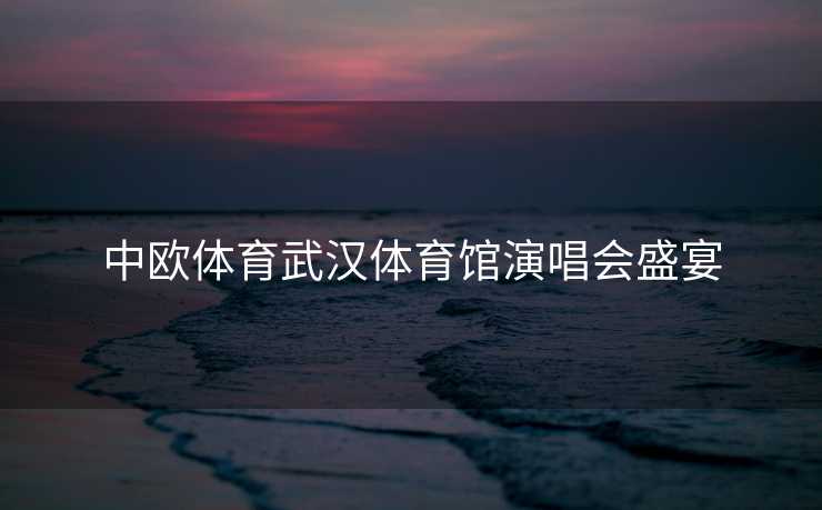 中欧体育武汉体育馆演唱会盛宴