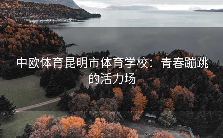 中欧体育昆明市体育学校：青春蹦跳的活力场