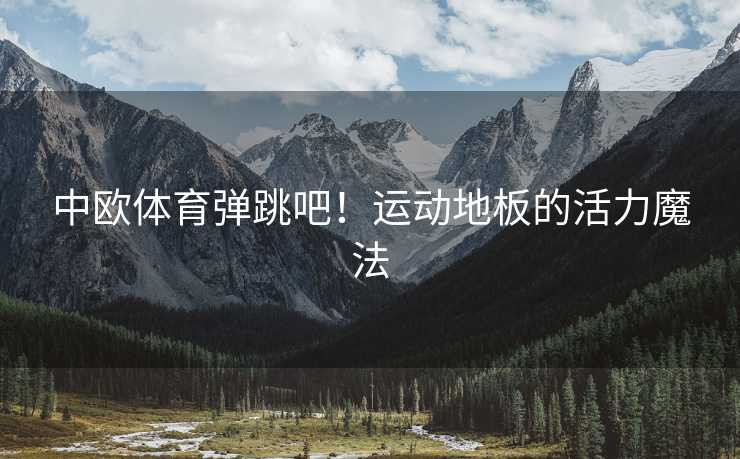 中欧体育弹跳吧！运动地板的活力魔法