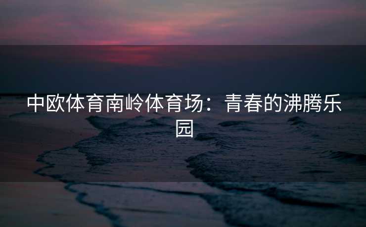 中欧体育南岭体育场：青春的沸腾乐园