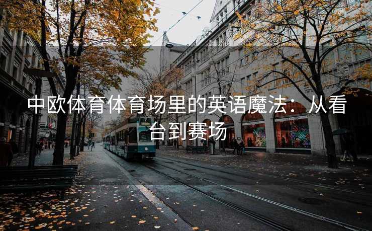 中欧体育体育场里的英语魔法：从看台到赛场